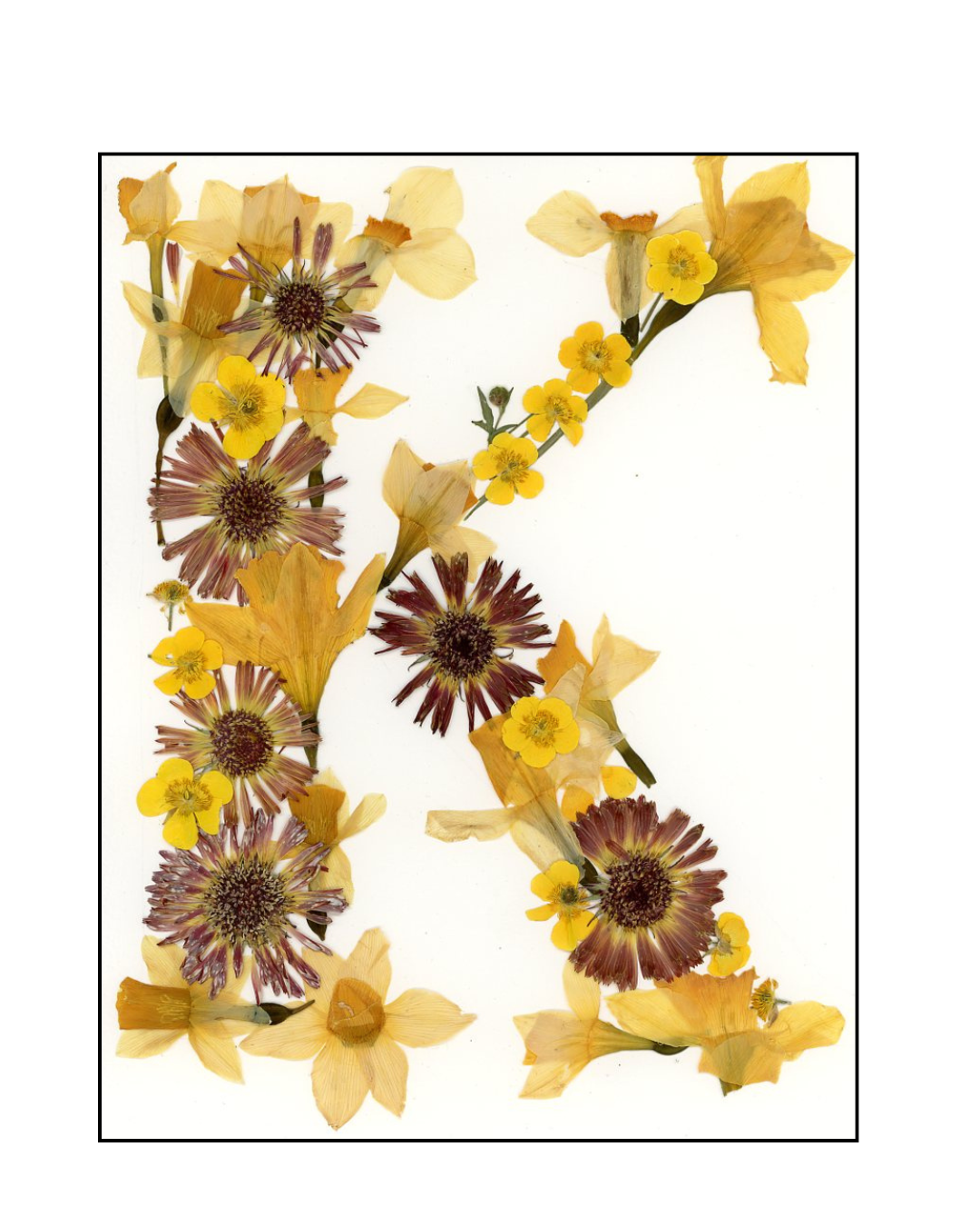 Affiche - Alphabet Floral - K comme Katherine (8"x10")