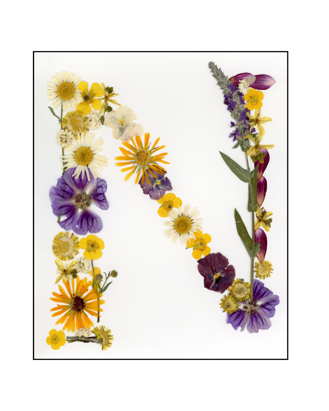 Affiche - Alphabet Floral - N (8"x10")