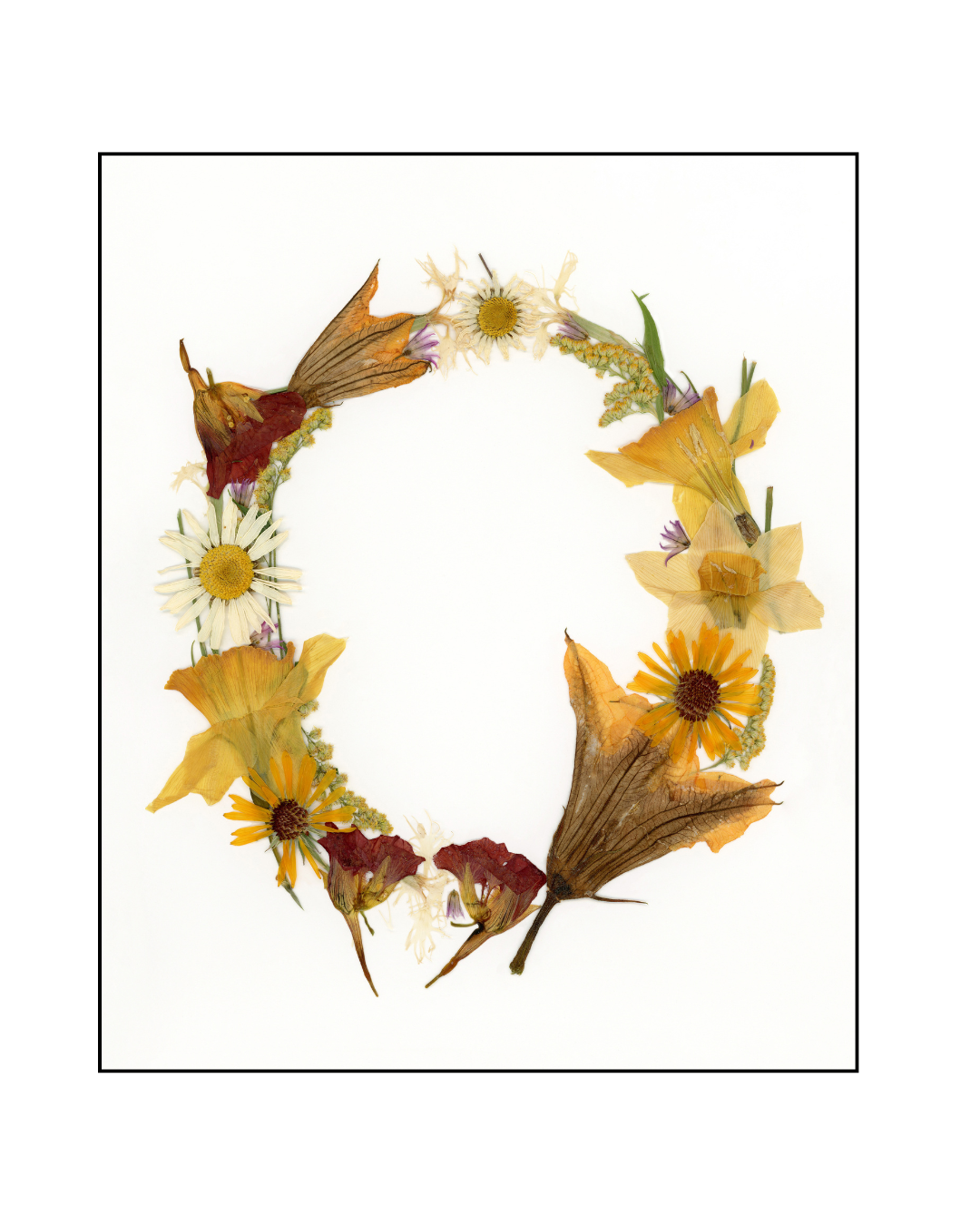 Affiche - Alphabet Floral - O (8"x10")