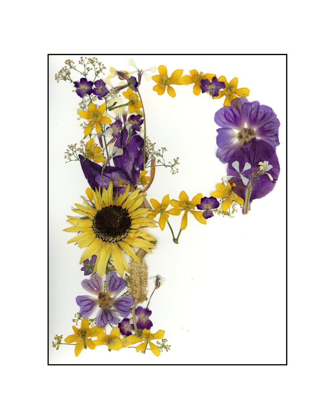 Affiche - Alphabet Floral - P (8"x10")