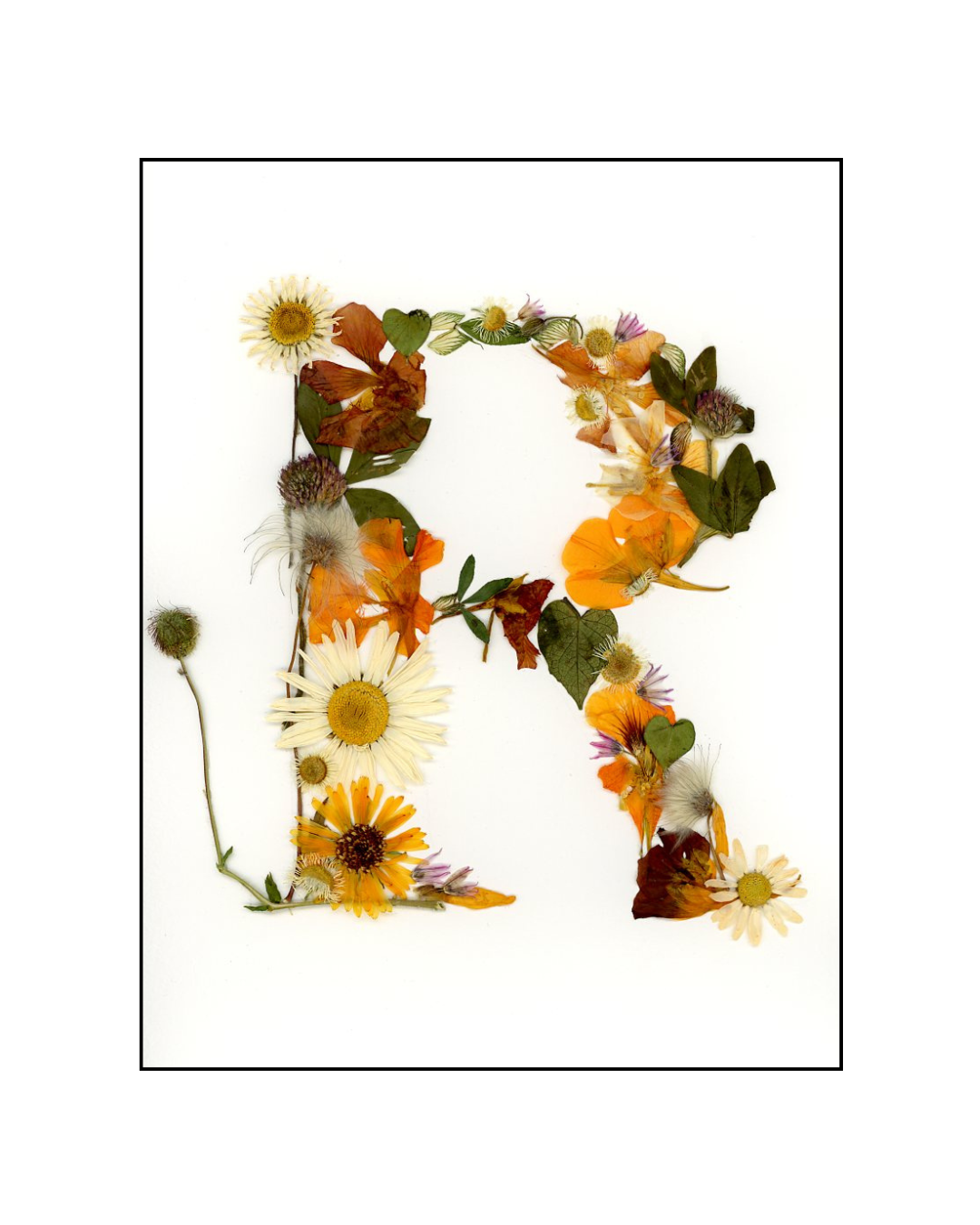 Affiche - Alphabet Floral - R comme Roxane (8"x10")