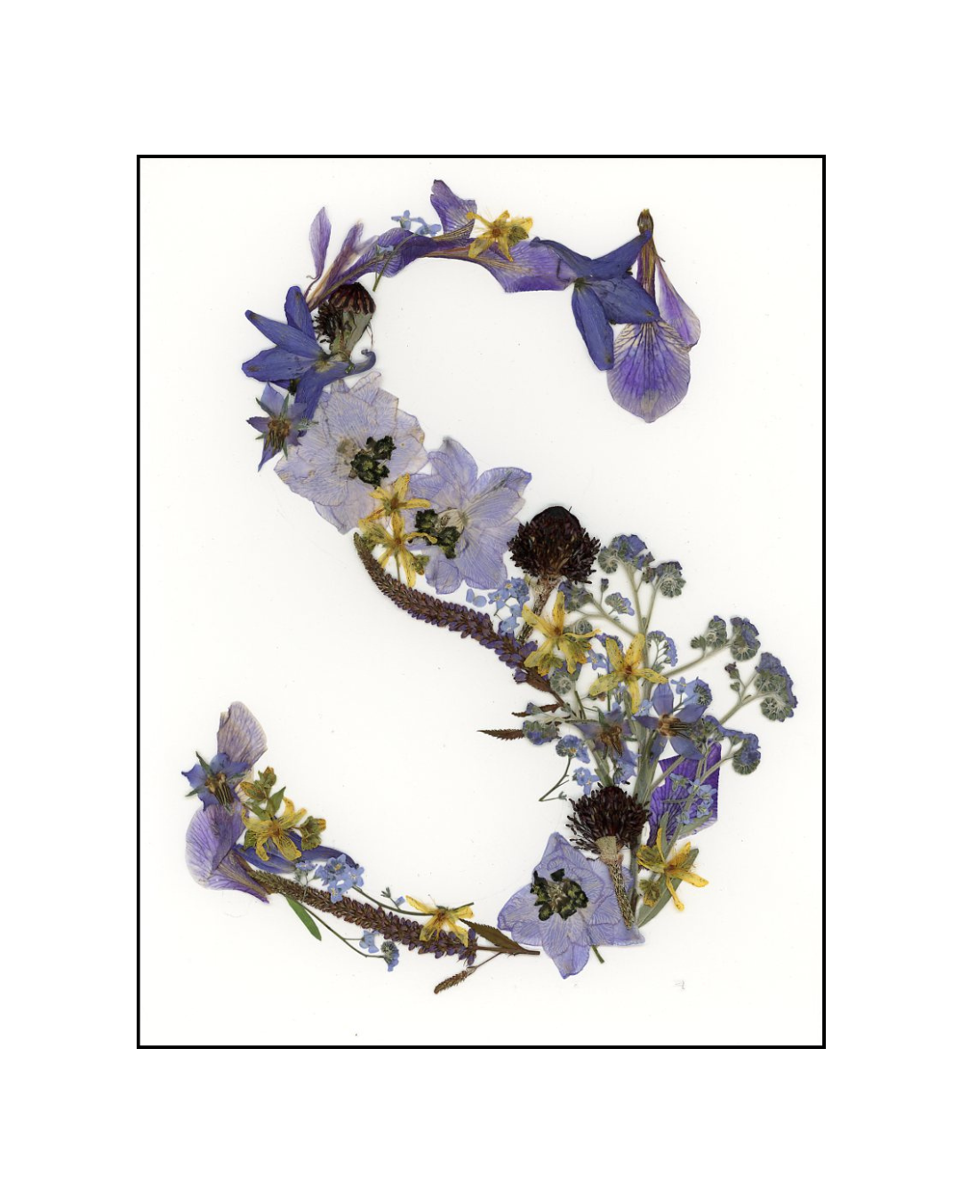 Affiche - Alphabet Floral - S (8"x10")