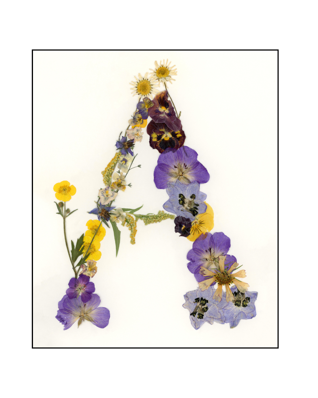 Affiche - Alphabet Floral - A comme Amy (8"x10")