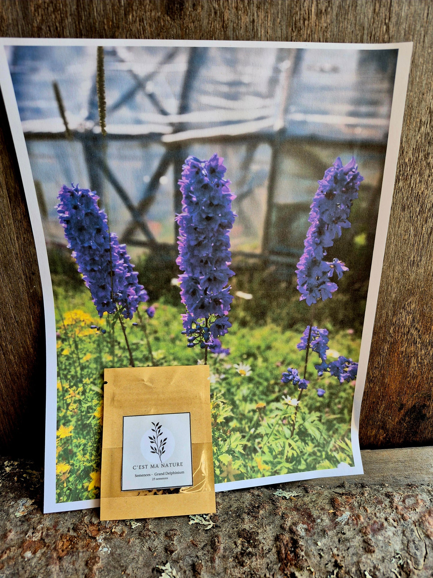 Semences Grand Delphinium