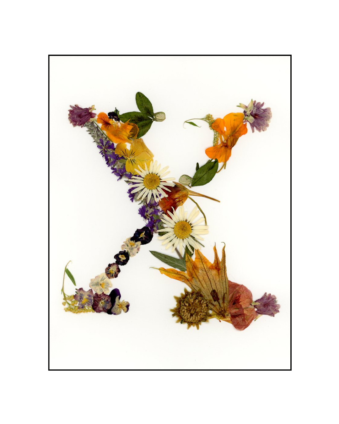 Affiche - Alphabet Floral - X (8"x10")