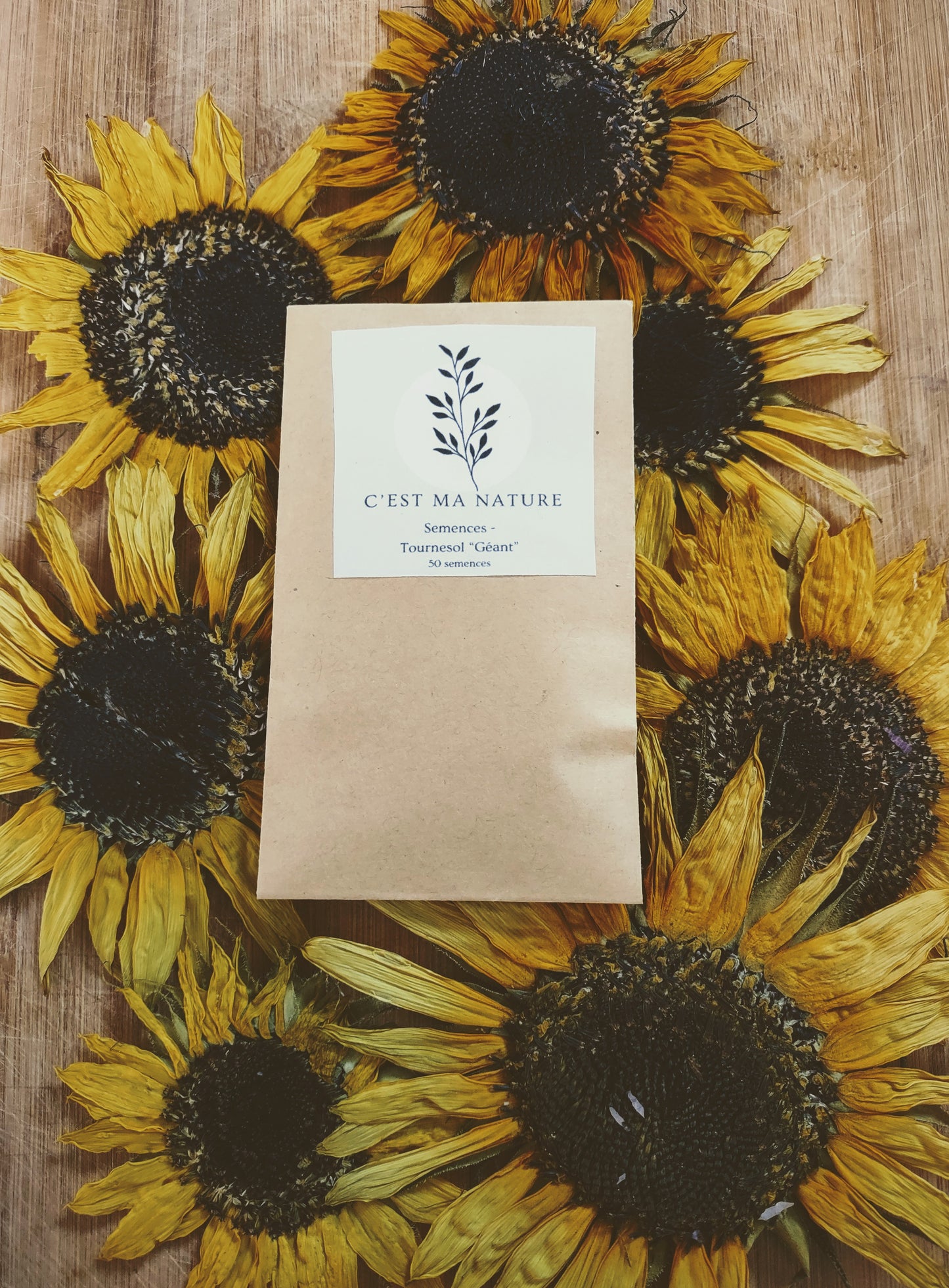 Semences Tournesol géant