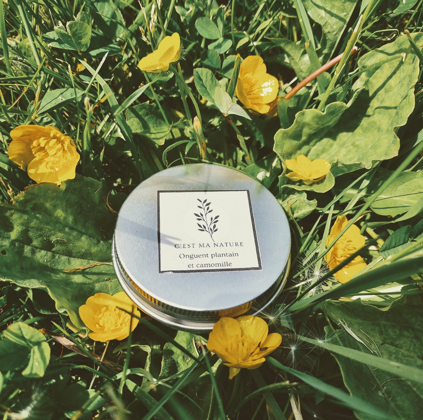 Onguent plantain et camomille 30ml