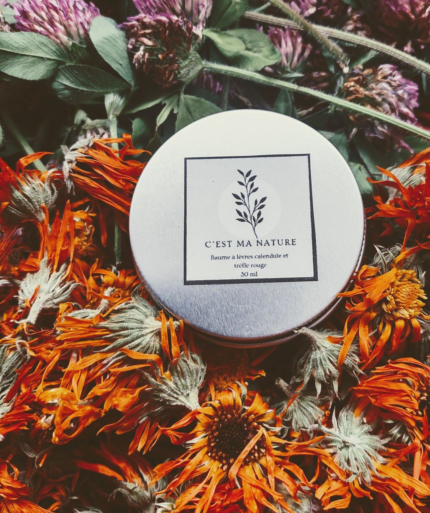 Baume à lèvres trèfle rouge et calendule 30 ml