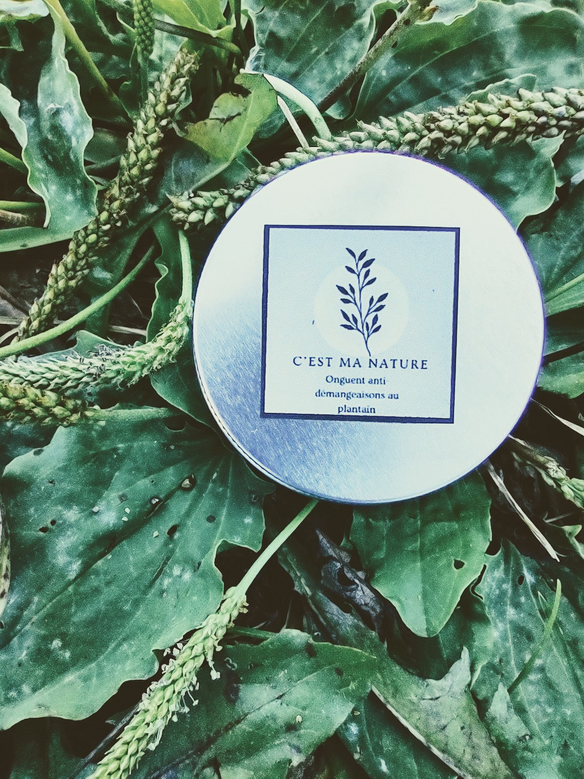 Onguent anti-démangeaisons au plantain 30 ml