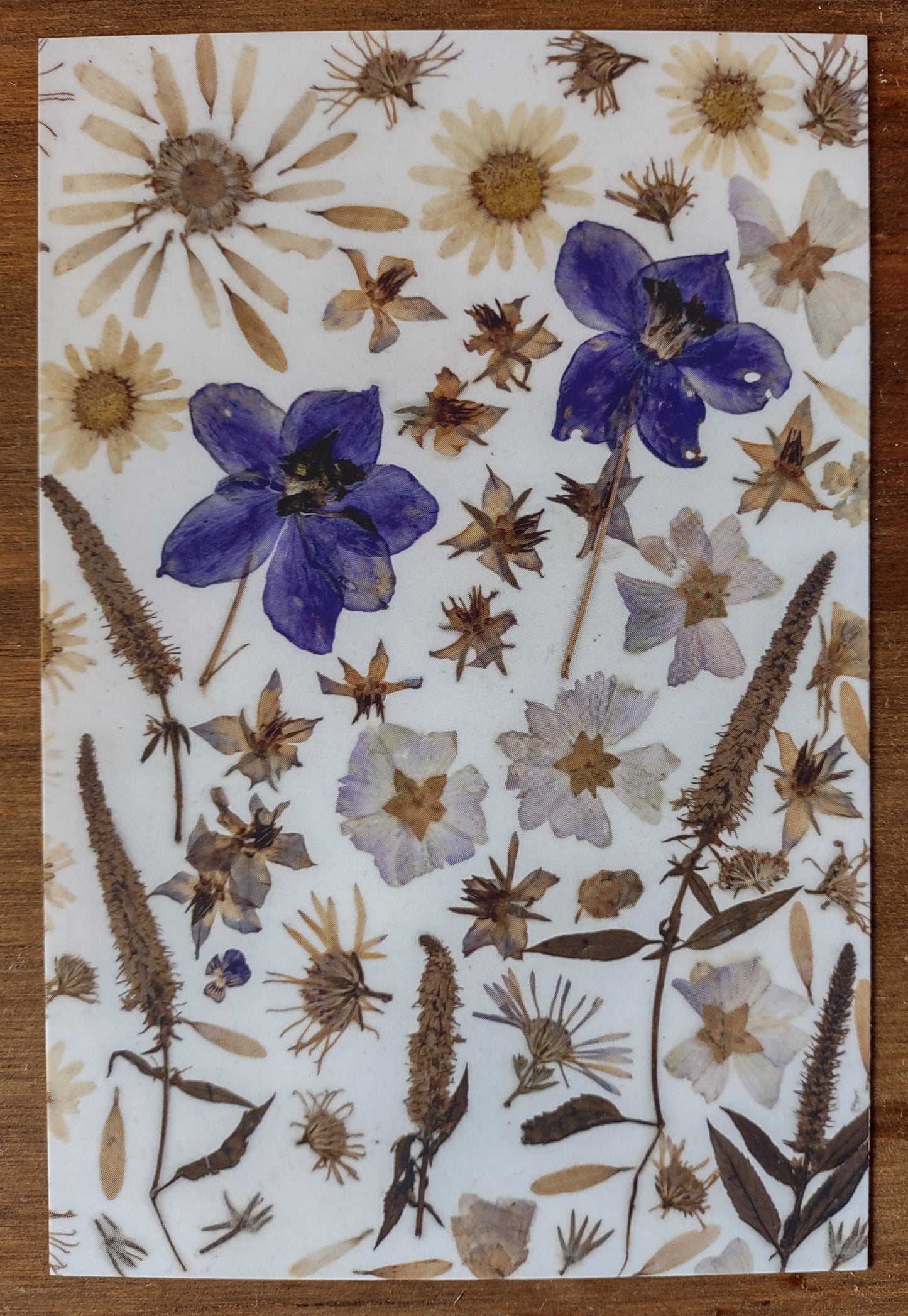 Carte postale Chant d'été