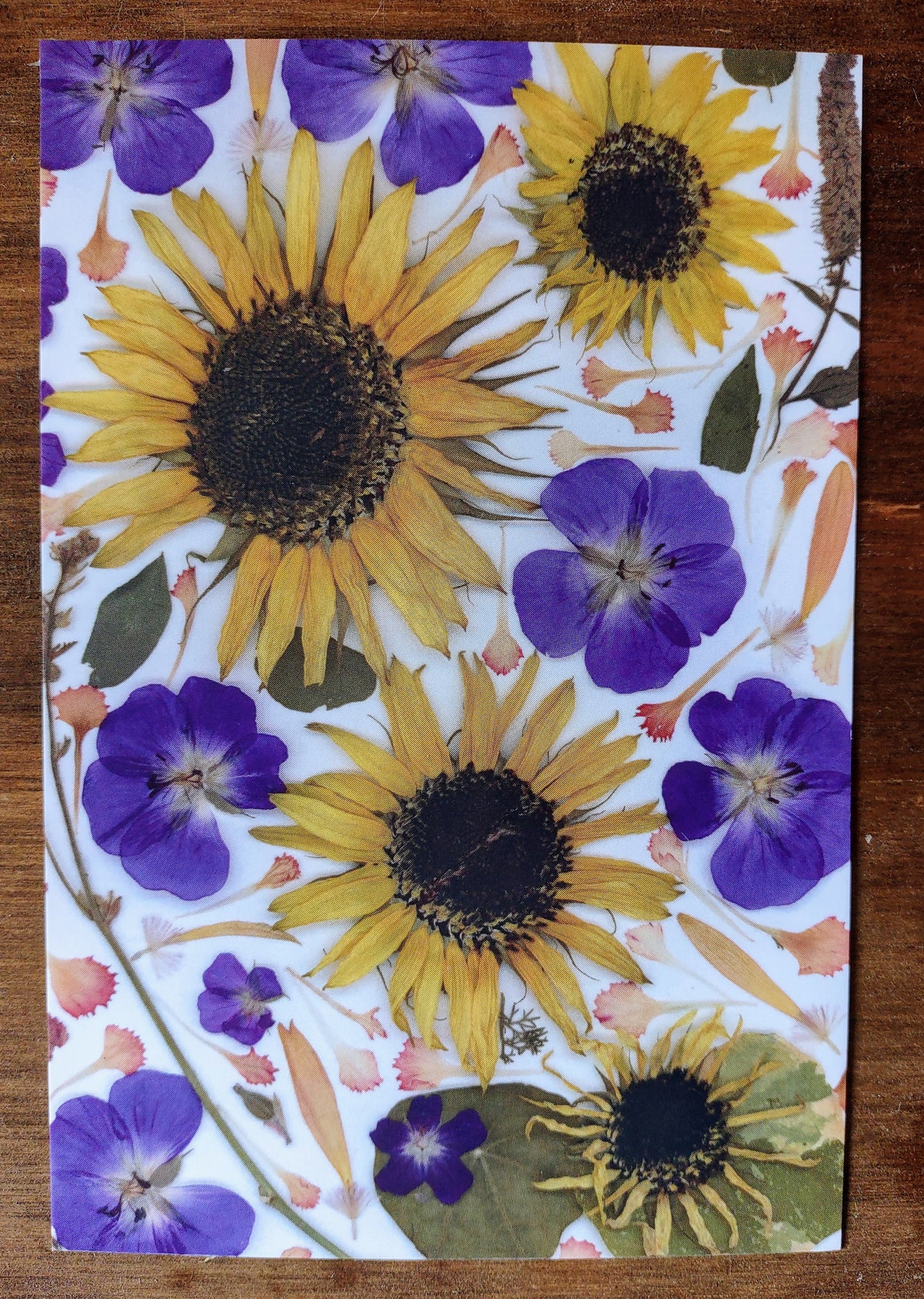 Carte postale Tournesols