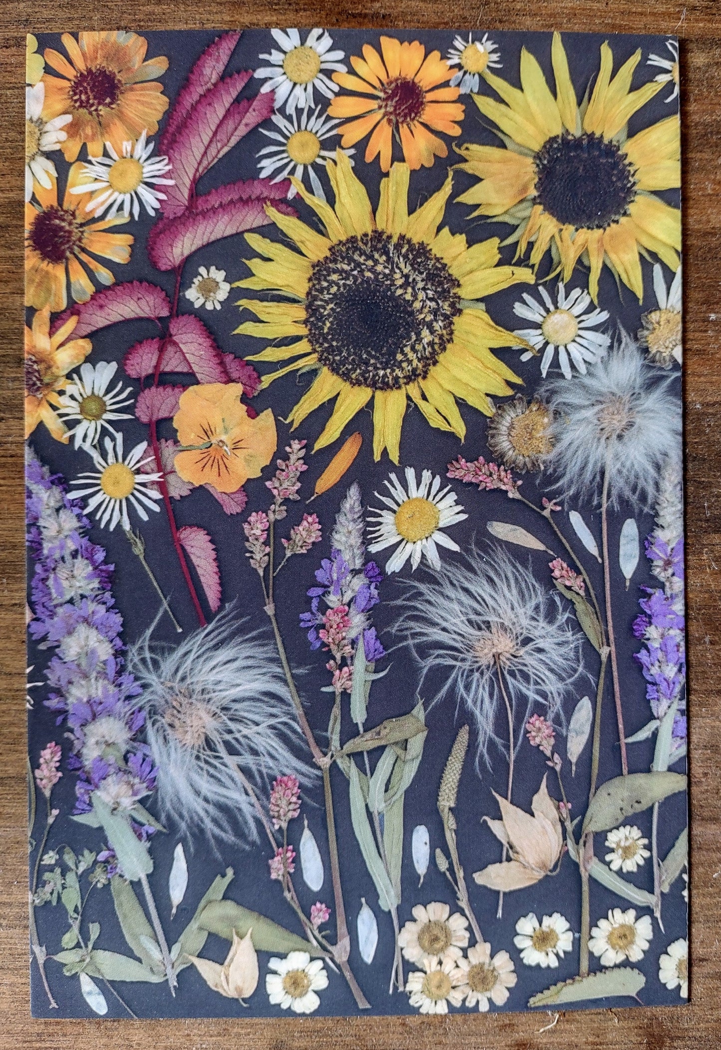 Carte postale Envole-toi