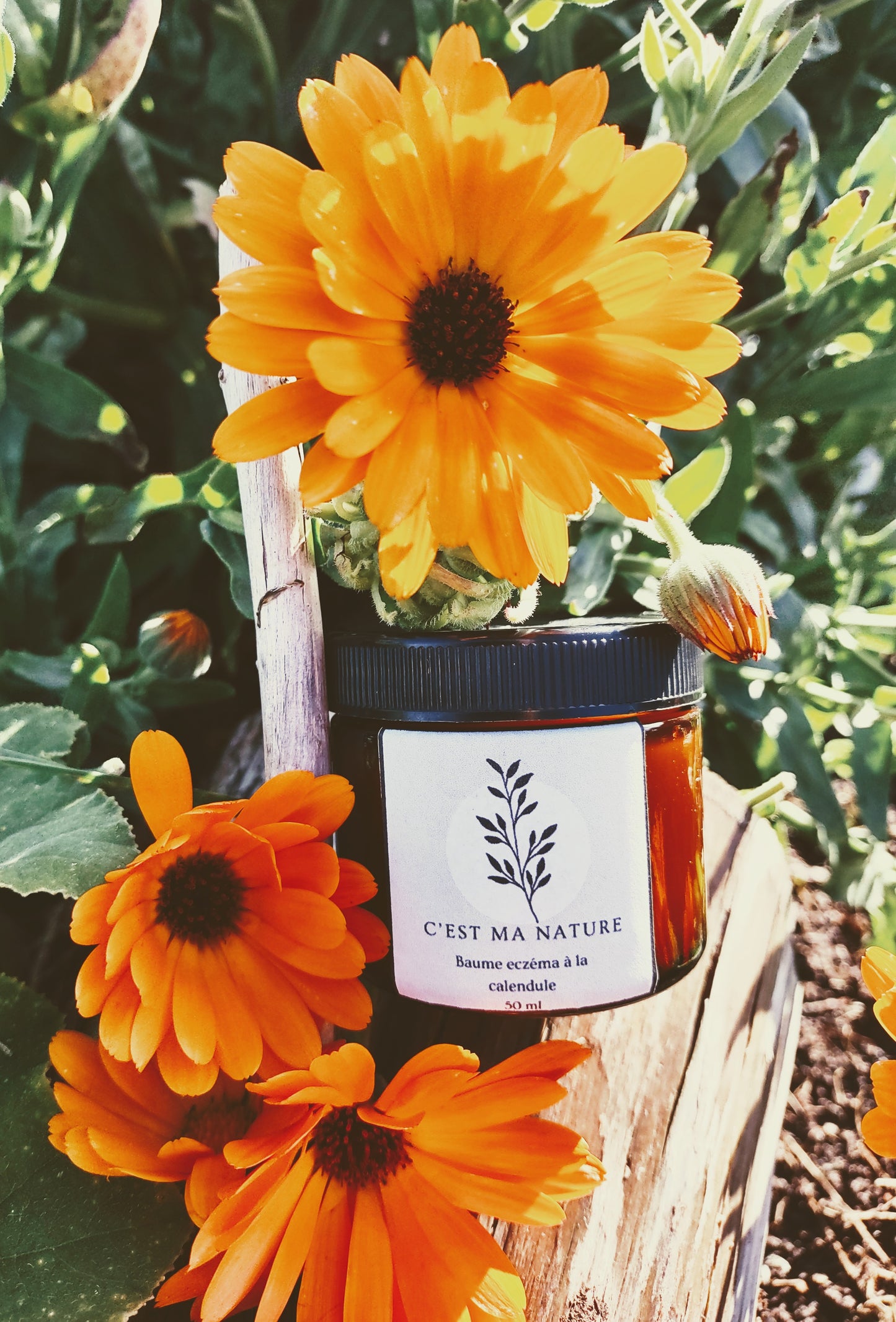 Baume eczéma aux fleurs de calendule