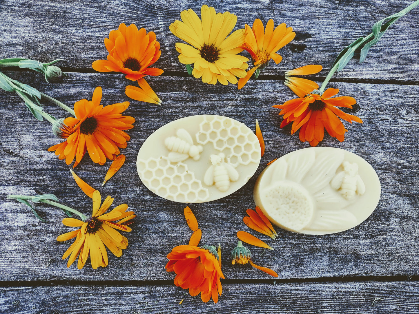 Barre lotion hydratante à la calendule