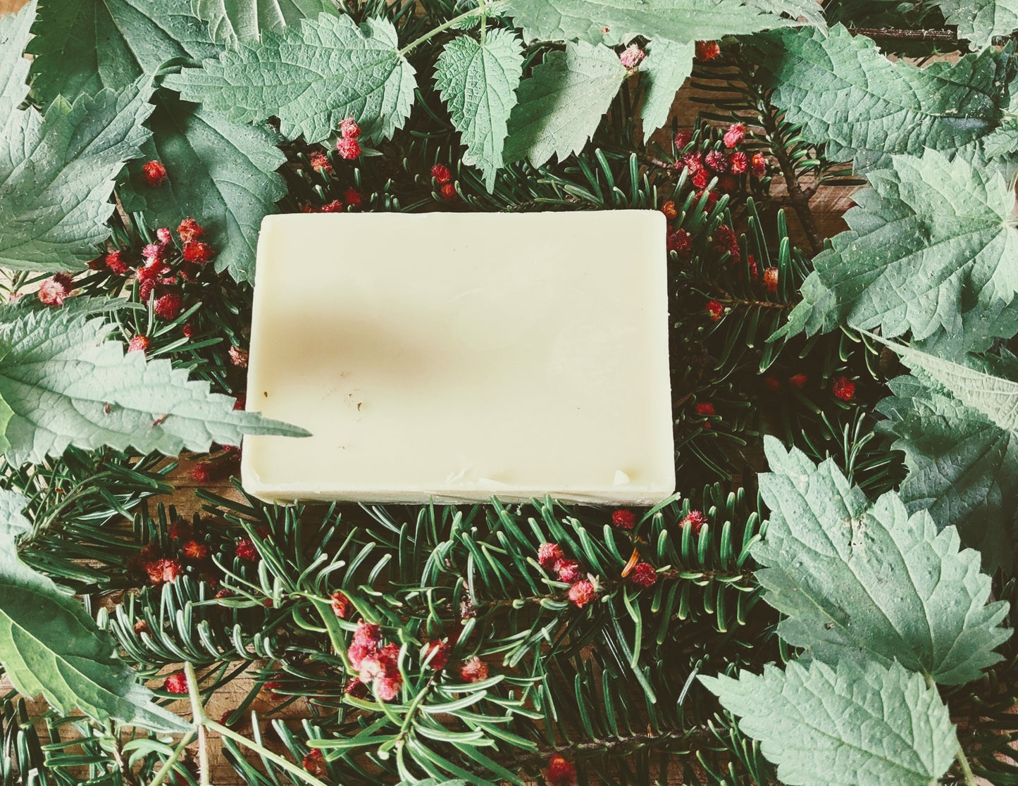 Barre lotion hydratante au sapin et à l'ortie