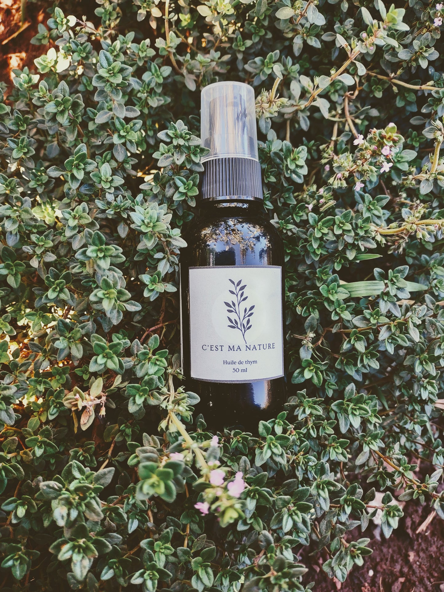 Huile à massage au thym 50 ml