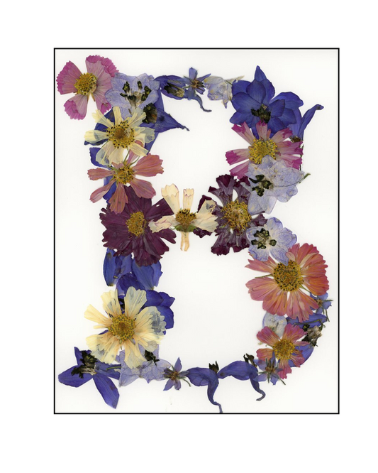 Affiche - Alphabet Floral - B (8"x10")