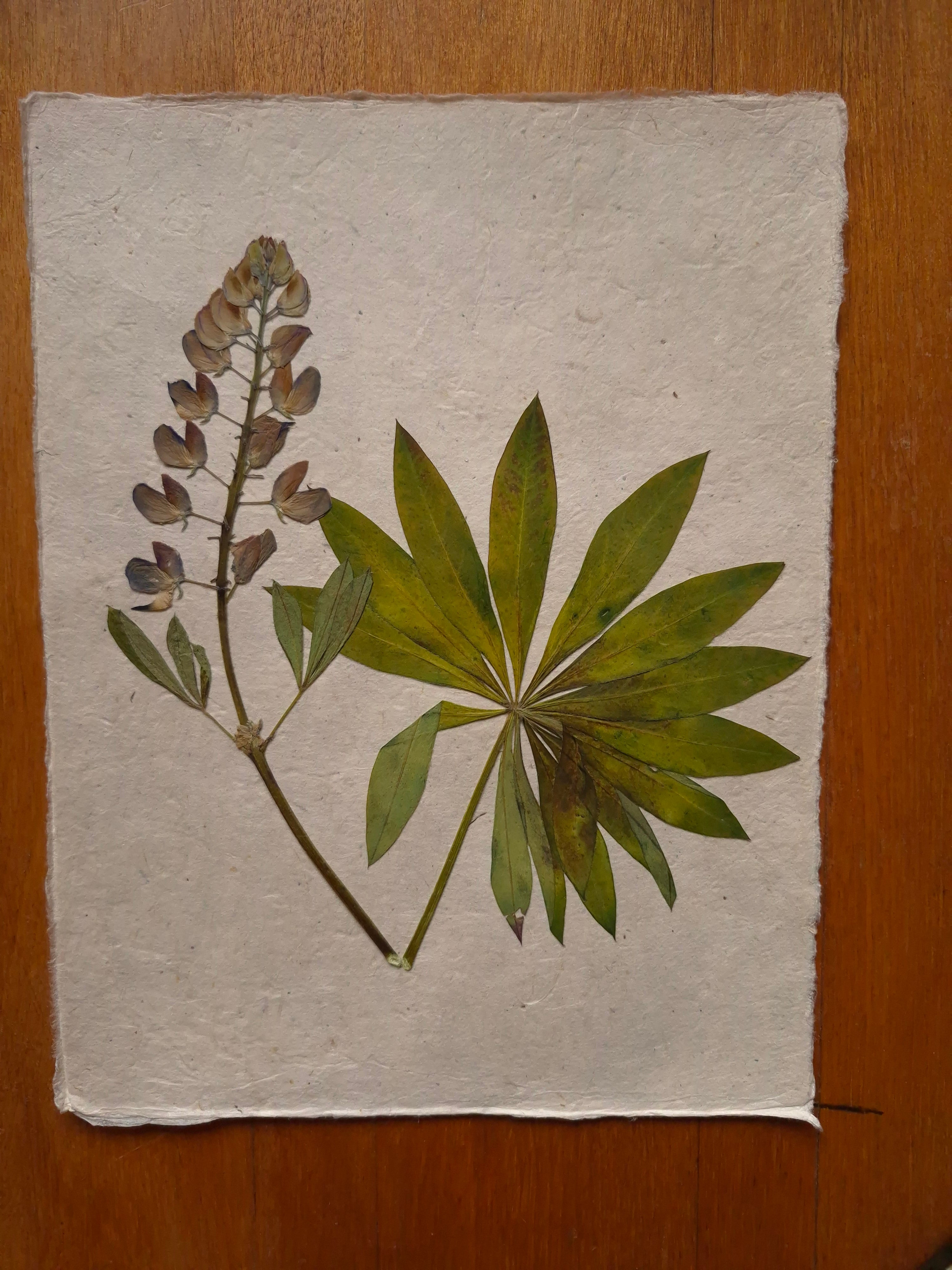 Composition florale artisanale sur papier Lokta 