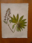 Composition florale artisanale sur papier Lokta 