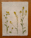 Composition florale artisanale sur papier Lokta 