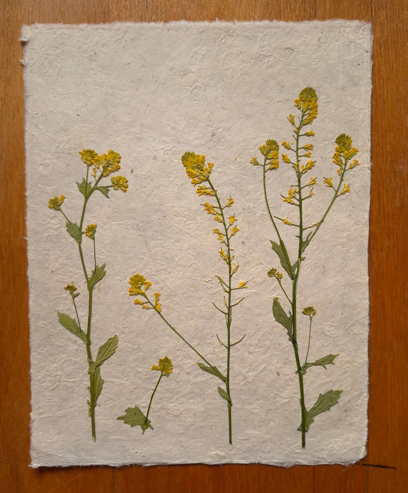 Composition florale artisanale sur papier Lokta 