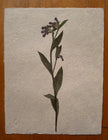 Composition florale artisanale sur papier Lokta 