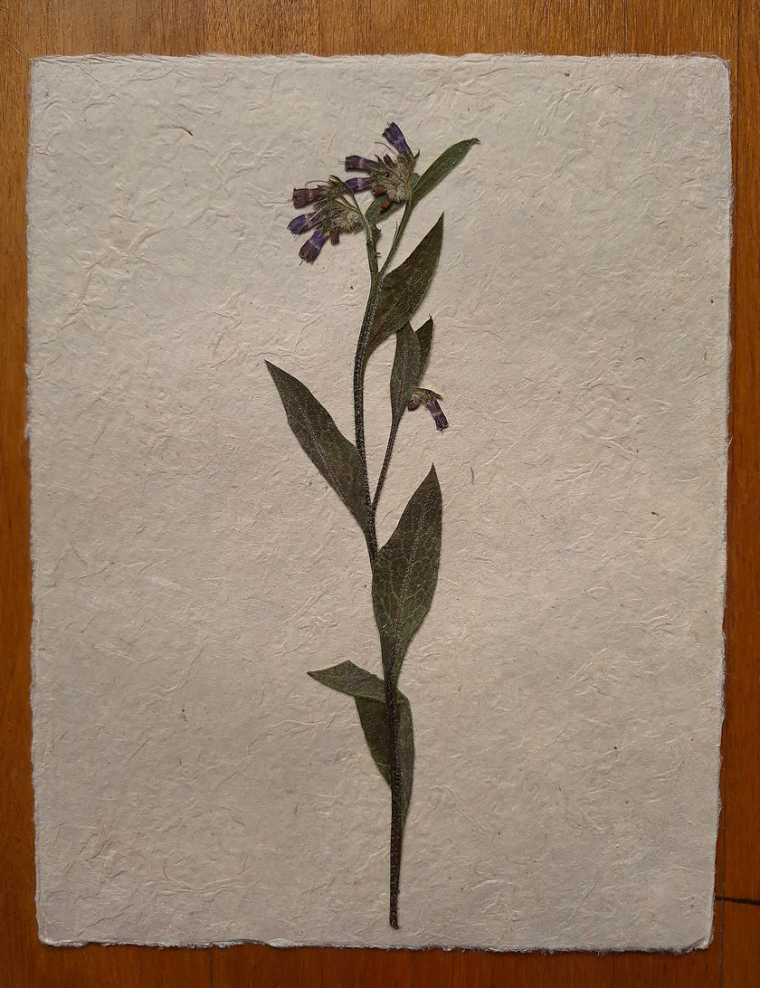 Composition florale artisanale sur papier Lokta 