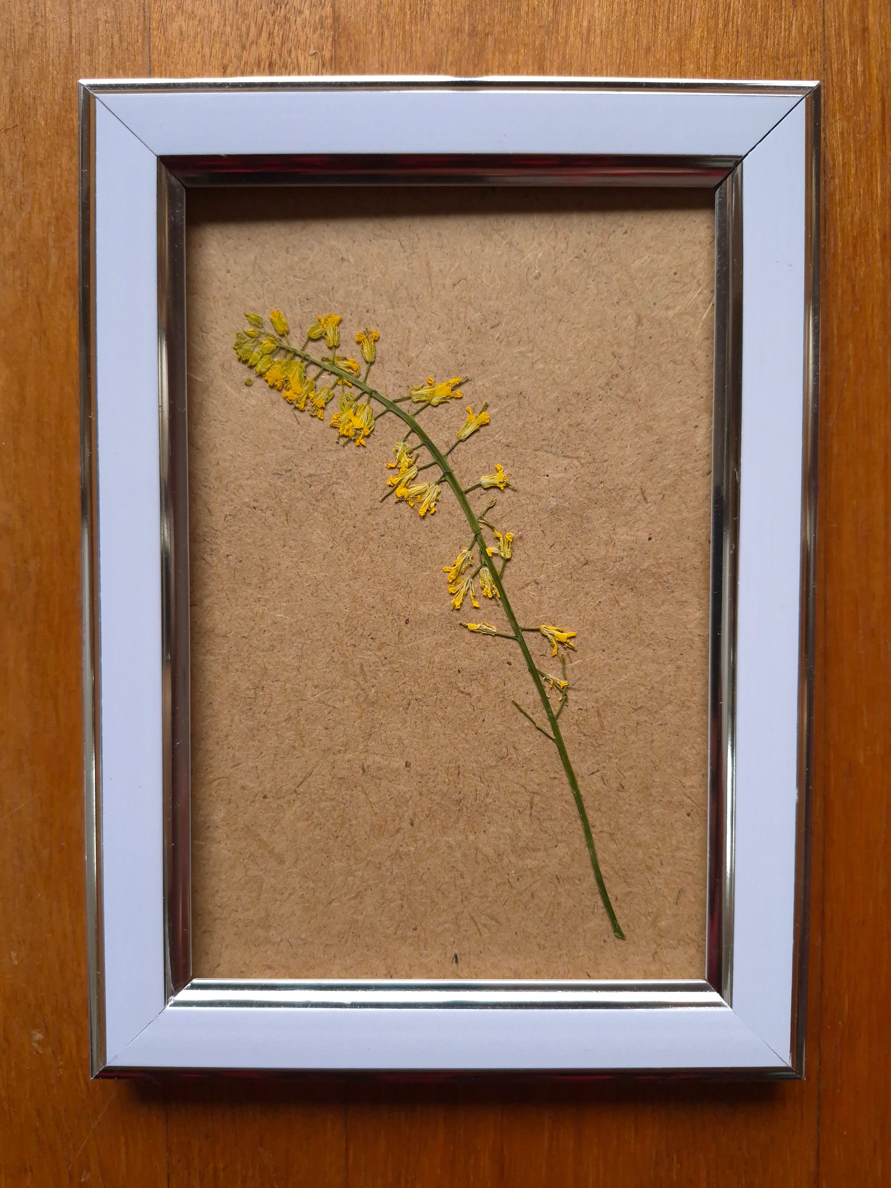 Cadre floral - Clochettes jaunes