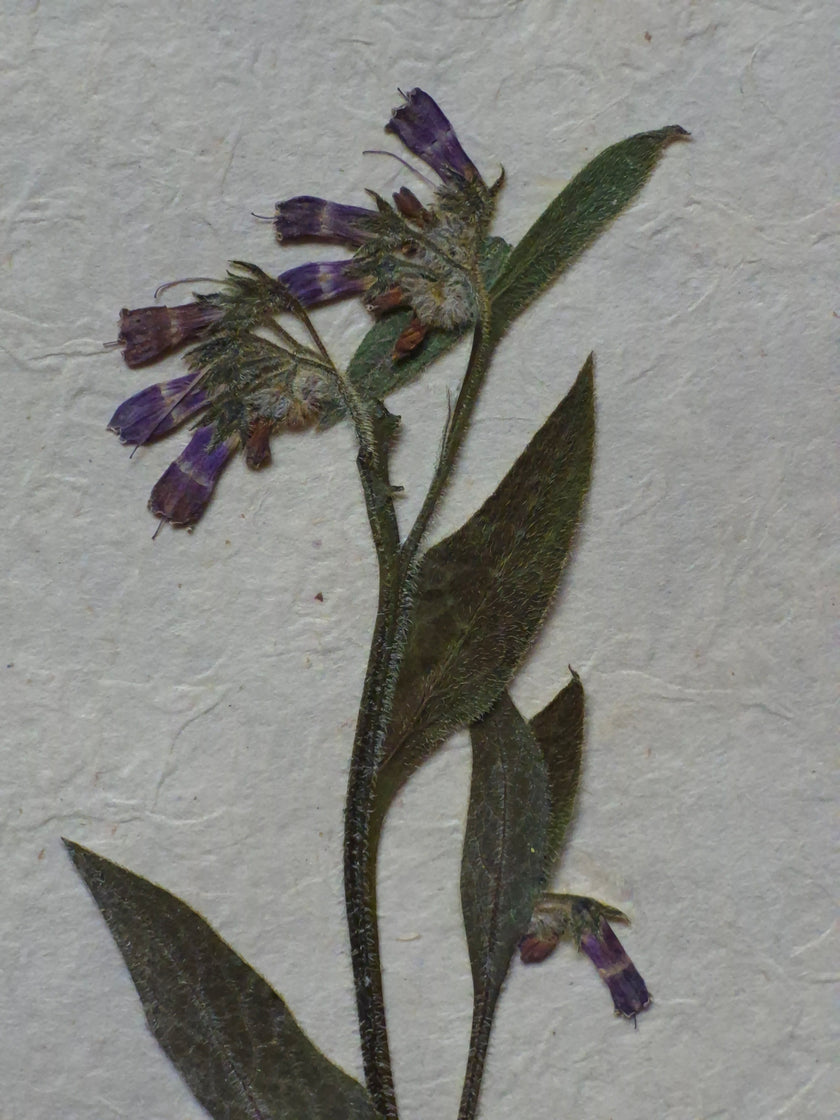 Composition florale artisanale sur papier Lokta 