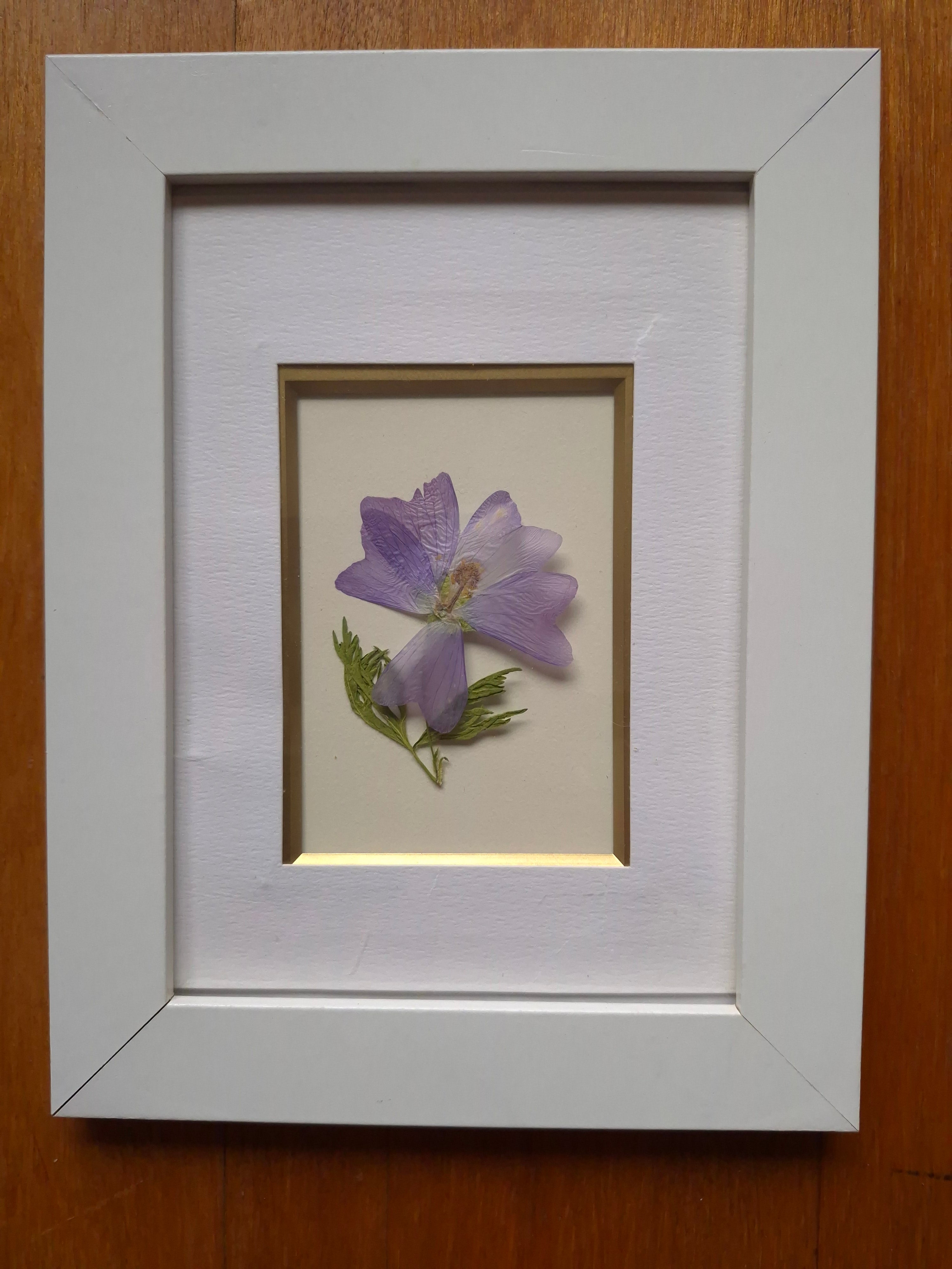 Cadre floral - Mauve richissime
