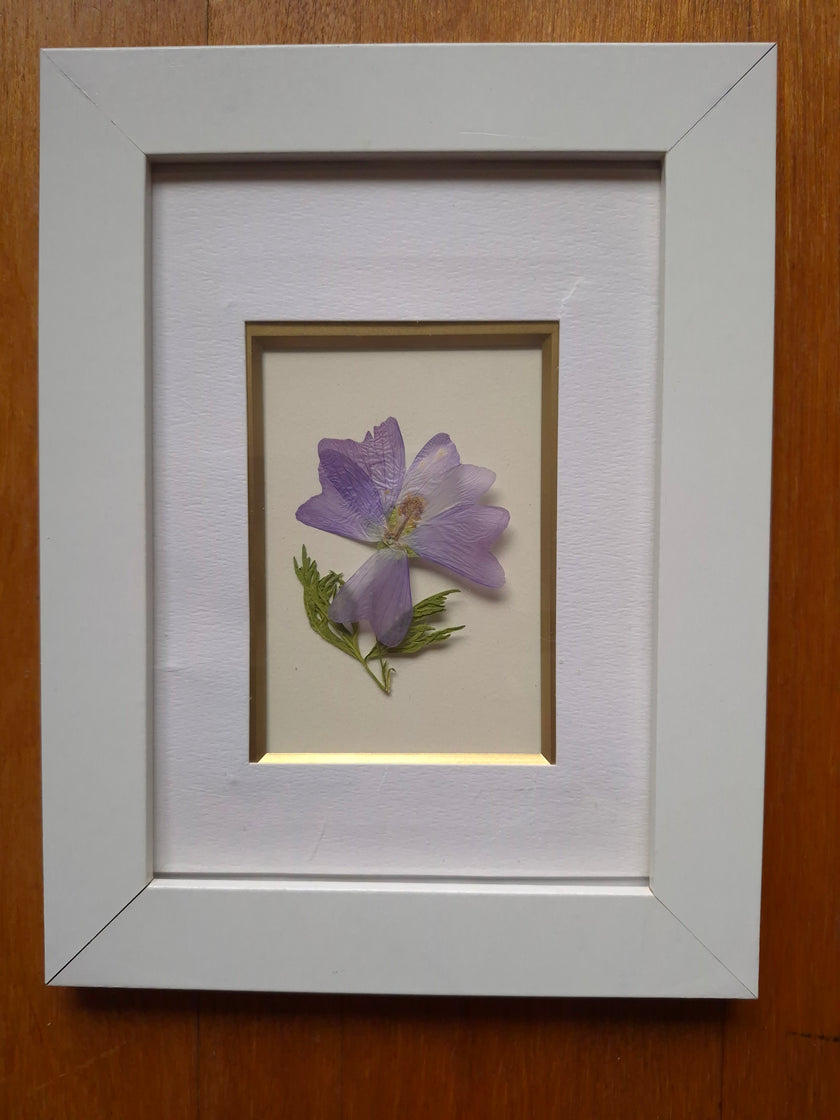 Cadre floral - Mauve richissime