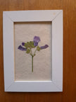 Cadre floral - Bouton de Mauve