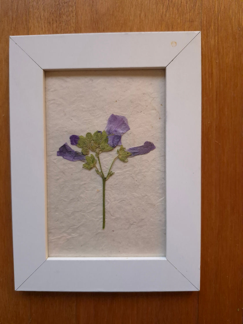 Cadre floral - Bouton de Mauve
