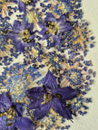 Oeuvre florale - Lune bleue