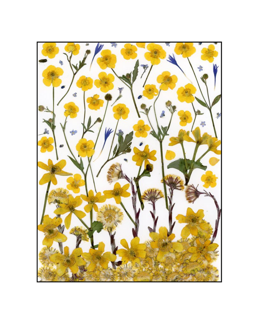 Oeuvre florale - Jaune Printemps