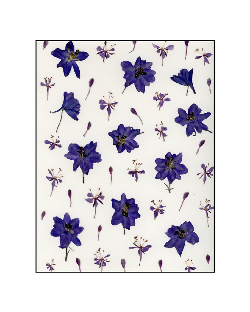 Oeuvre florale - La vie en bleu