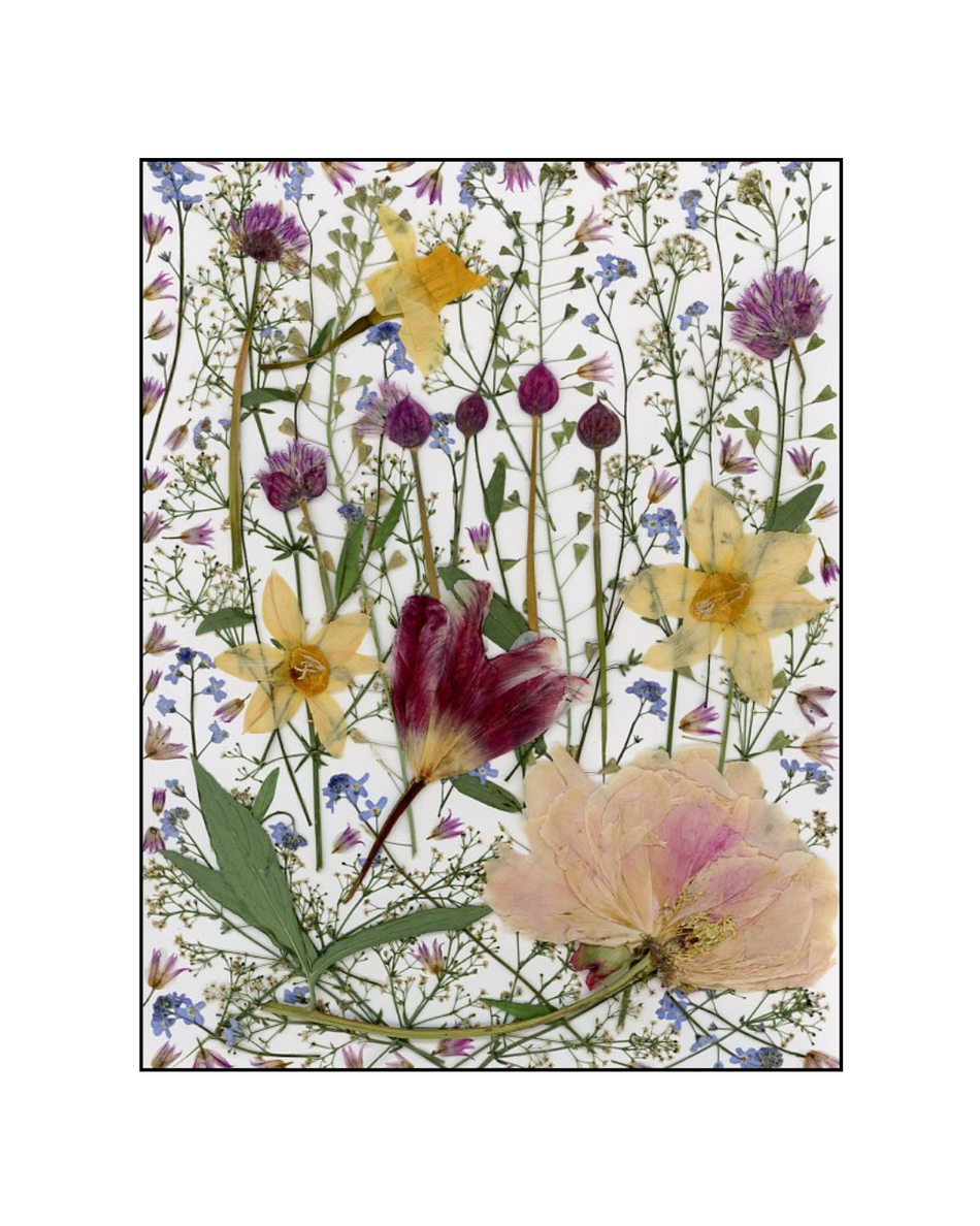 Oeuvre florale - Champ fleuri