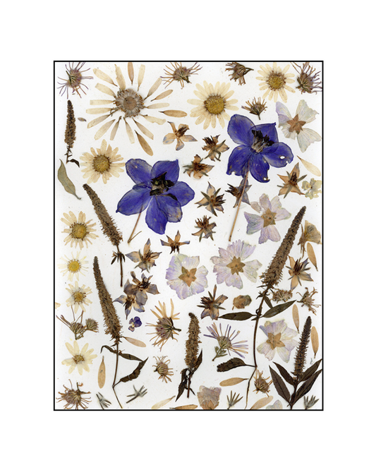 Affiche - Chant d'été (8"x10")