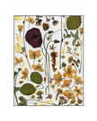 Oeuvre florale - Julie