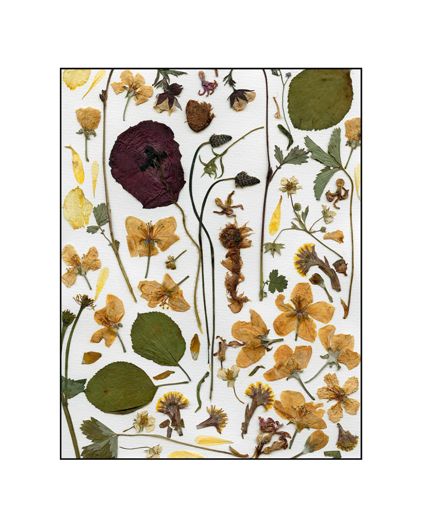 Oeuvre florale - Julie