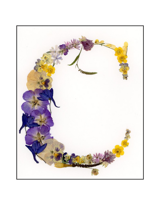 Affiche - Alphabet Floral - C comme Cove (8"x10")