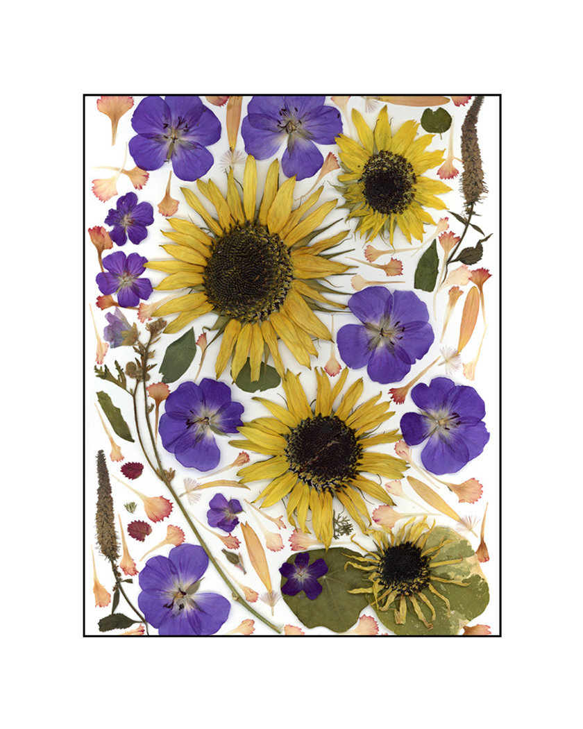 Oeuvre florale - Tournesols