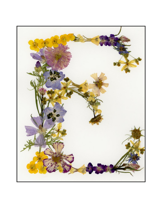 Affiche - Alphabet Floral - E comme Ève (8"x10")