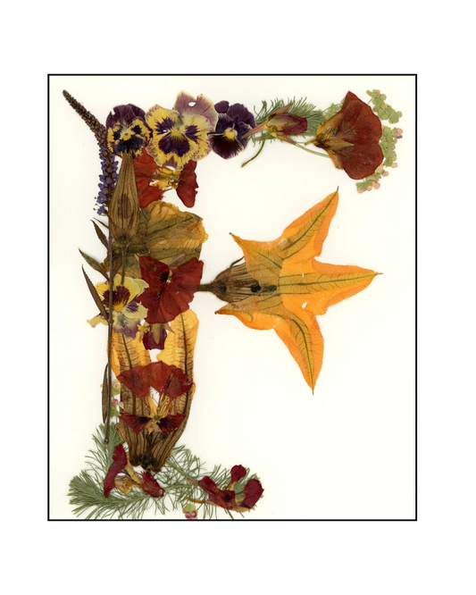 Affiche - Alphabet Floral - F (8"x10")