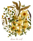 Oeuvre florale- Lune du cerf