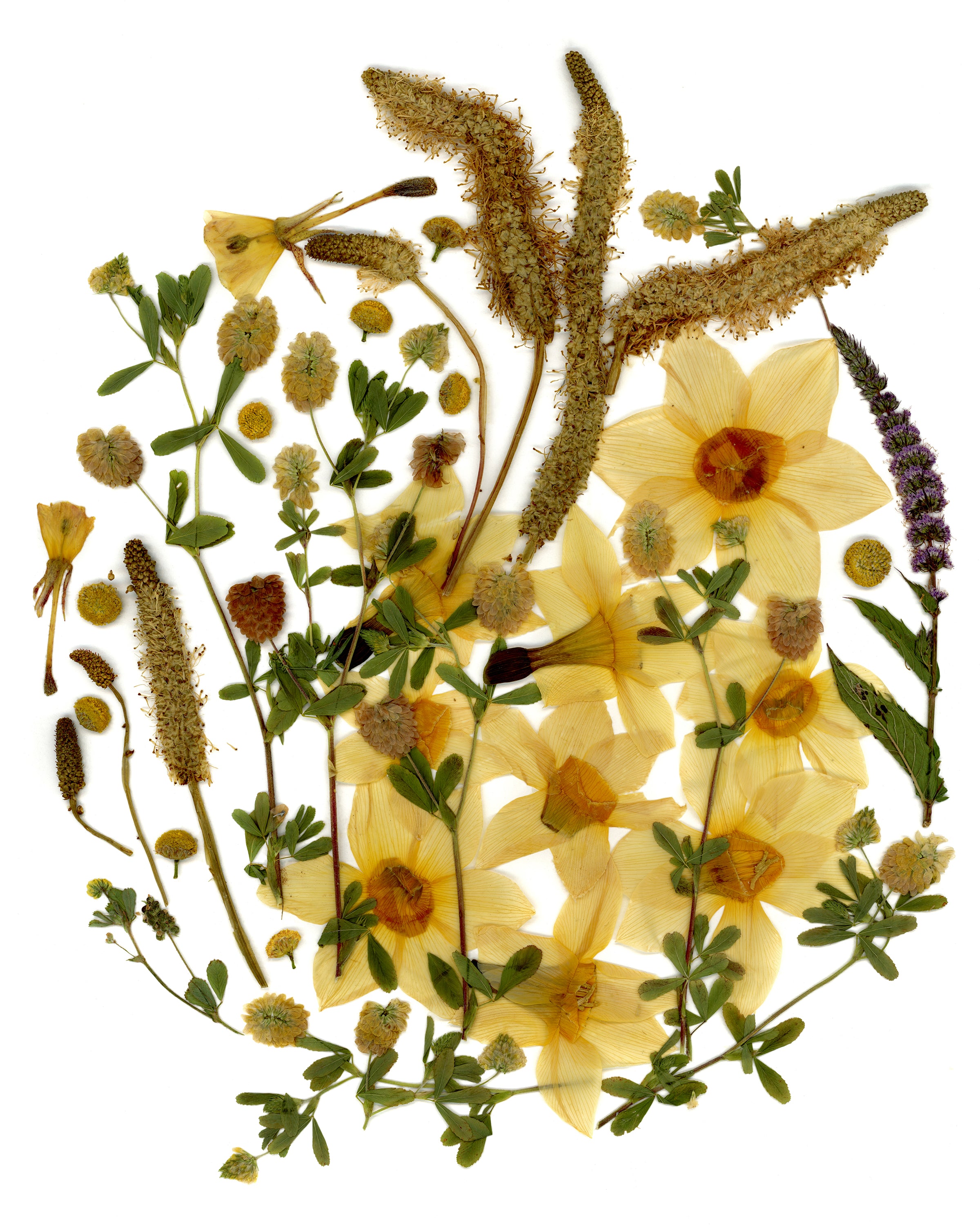 Oeuvre florale- Lune du cerf