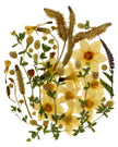 Oeuvre florale- Lune du cerf