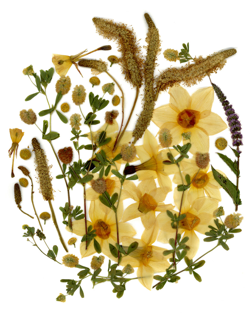 Oeuvre florale- Lune du cerf