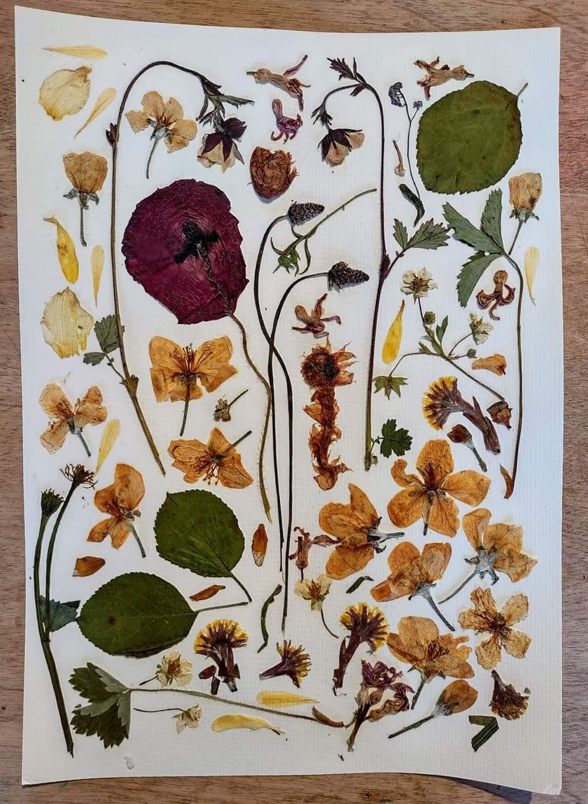 Oeuvre florale - Julie