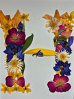 Lettre florale H